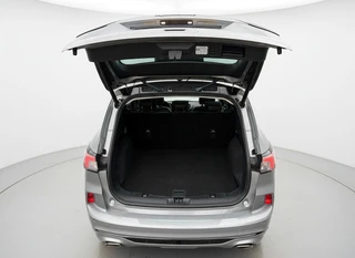 Ford Kuga 2.5 PHEV Vignale PANO - TREKHAAK / 9