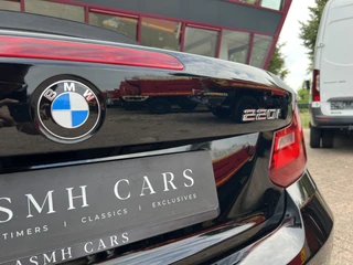 BMW 2 Serie Cabrio 220i  | NL auto | 2e eigenaar | PDC | Navi | Leder | Stoelverw. | / 8