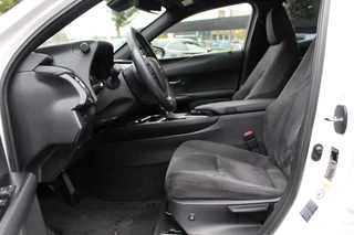 Lexus UX 250h Business Line Pro / 13