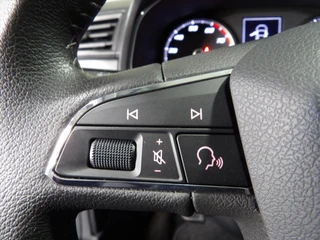 SEAT Ibiza 1.0 EcoTSI 95pk Style Business Intense / 14