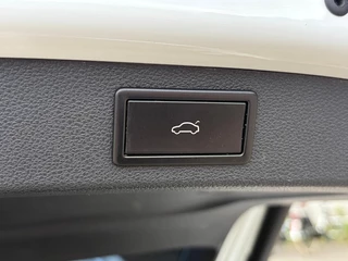 Skoda Kodiaq 1.5 TSI Limited Business Edition / 30
