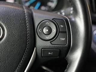 Toyota RAV4 2.5 Hybrid Executive Business / 21