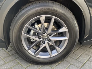Lexus LBX 1.5 2WD / 10