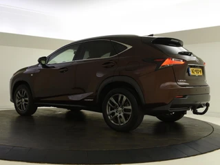 Lexus NX 300h AWD 25th Edition | Beige leder | Stoelverw. | Trekhaak | / 7