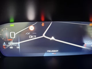Peugeot 308 110 Active Pack Business Nav/Clima/LMV / 14