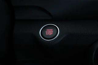 Kia Stonic 1.0 T-GDi MHEV DynamicPlusLine  Trekhaak! Navigatie, Climate, / 24