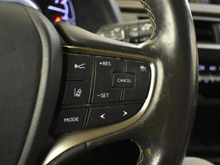 Lexus UX 250h First Edition | Elektr. a. klep | Trekhaak | PDC / 19