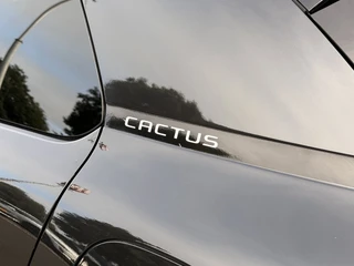Citroen C4 Cactus 1.2 PureTech C-series / 22