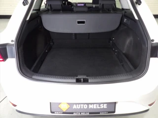 Seat Leon 1.0 TSI 110pk Style / 39
