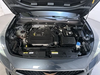 Cupra Formentor 1.5 TSI 150pk DSG Business Edition Camera Navigatie Adaptive Cruise Stoelverwarming / 17