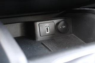 Ford Focus Wagon 1.0 EcoBoost Active Business | Trekhaak | Cruise Control | Winter Pack / 21