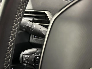 Peugeot 3008 1.2 PureTech Blue Lease Premium CARPLAY NAVI CAMERA CRUISE LM ECC. / 22