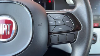 Fiat Panda 1.0 Hybrid Pandina Cross Hoge Zit Carplay LM-Velgen PDC / 18