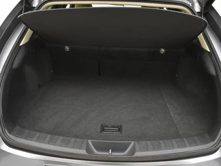 Lexus UX 250h First Edition | Elektr. a. klep | Trekhaak | PDC / 29