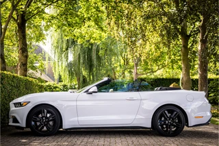 Ford Mustang Convertible 2.3 EcoBoost  Stoelventilatie Shaker Audio NL Auto / 2