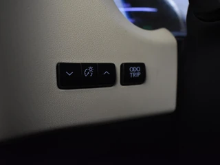 Lexus NX 300h AWD 25th Edition / 28