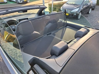Volkswagen T-Roc Cabrio 1.5 TSI 150pk DSG R-Line (Trekhaak,Camera,Virtual,IQ) / 16