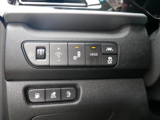 Kia Niro 1.6 GDi PHEV DynamicPlusLine Camera| ACC| Leder| NAVI+BT / 17