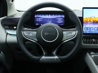 BYD DOLPHIN G 1.5L DM-i Boost BYD Dealer | Plug-in | Private Lease 515,- p.m | / 21