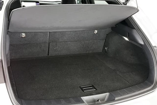 Lexus UX 250h AWD F Sport Premium / 10