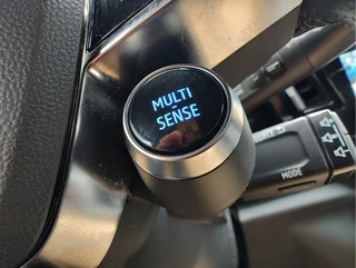 Renault Austral 1.2 E-TECH FULL HYBRID 200 ICONIC AUTOMAAT  Stuurverwarming | 360 Camera | Keyless / 21