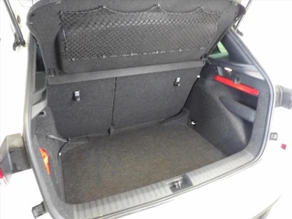 Skoda Kamiq 1.0 TSI G110pk DSG-7 Monte Carlo / 13