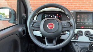 Fiat Panda 1.0 Hybrid Pandina Cross Hoge Zit Carplay LM-Velgen PDC / 14