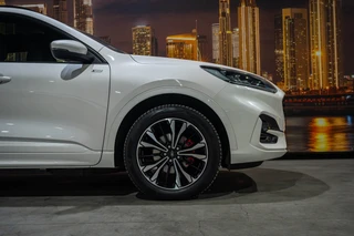 Ford Kuga 2.5 PHEV ST-Line X / 14
