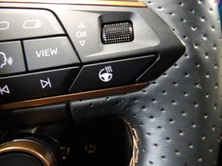 Cupra Formentor 1.4 e-Hybrid 245pk DSG-6 VZ Performance / 26
