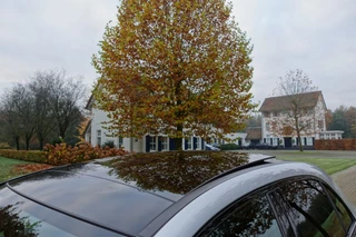 Mercedes-Benz A-Klasse 250 e Business Solution AMG Limited Pano / 11
