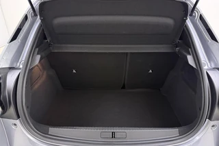Lancia Ypsilon 1.2 Turbo Hybrid LX / 14