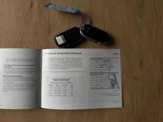 Kia Niro EV DynamicLine 64.8 kWh - SOH 98 Camera Clima Navi / 14