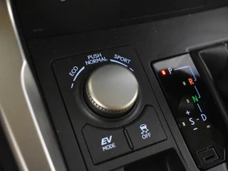 Lexus NX 300h AWD 25th Edition / 25