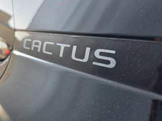 Citroën C4 Cactus 1.2 PureTech AUTOMAAT NAVI TEL LM CAMERA / 11
