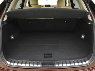 Lexus NX 300h AWD 25th Edition / 30