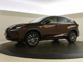 Lexus NX 300h AWD 25th Edition / 6