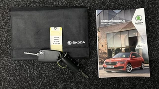Skoda Kamiq 1.0 TSI Ambition CAMERA CARPLAY LED CRUISE DAB. / 48