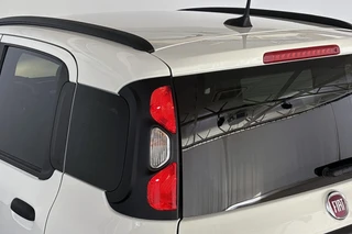 Fiat Panda 1.0 Hybrid Pandina / 34