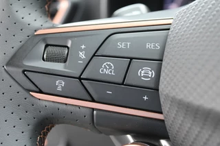 CUPRA Formentor 1.5 TSI e-Hybrid Business  | Trekhaak | Eclipse pack | Panoramadak / 10