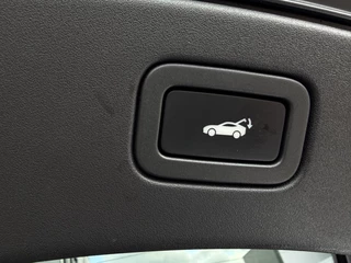 Jaguar F-TYPE P300 RWD R-Dynamic / 8