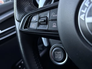 Alfa Romeo Tonale 1.5T Hybrid Edizione Speciale / 26