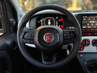 Fiat Panda 1.0 Hybrid Pandina | Carplay | Airco | Cruise Control | Parkeersensoren / 13