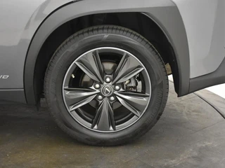 Lexus UX 250h First Edition | Elektr. a. klep | Trekhaak | PDC / 32