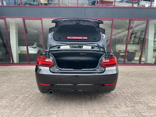 BMW 2 Serie Cabrio 220i  | NL auto | 2e eigenaar | PDC | Navi | Leder | Stoelverw. | / 36