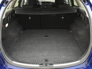Toyota Auris Touring Sports 1.8 Hybrid Team D / 29