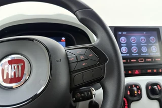 Fiat Panda 1.0 Hybrid Pandina / 18