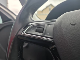 Škoda Rapid Spaceback 1.0 TSI Greentech NAVI TEL PANORAMADAK / 21