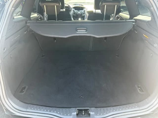 Ford Focus Wagon 2.0 EcoB. 250 PK Stoelverwarming | Recaro Sportstoelen / 15