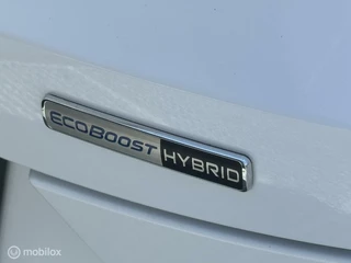 Ford Puma 1.0 EcoBoost Hybrid / 26