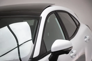 Ford Puma 1.0 EcoBoost Hybrid ST-Line X | WINTER / DRIVER ASSISTANCE- PACK | PANORAMADAK | DAB | APPLE | CAMERA | TREKHAAK | 17" / 21